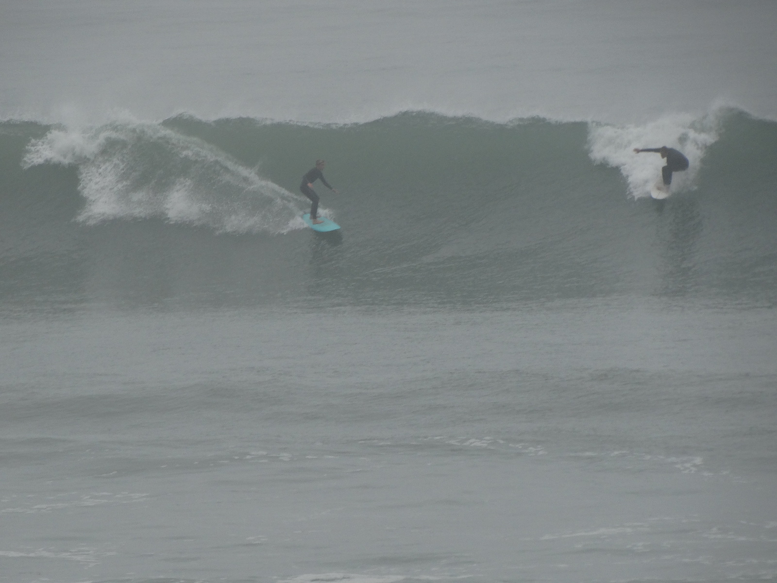 Malaga Cove Surfer, Palos Verde - Bluff Cove