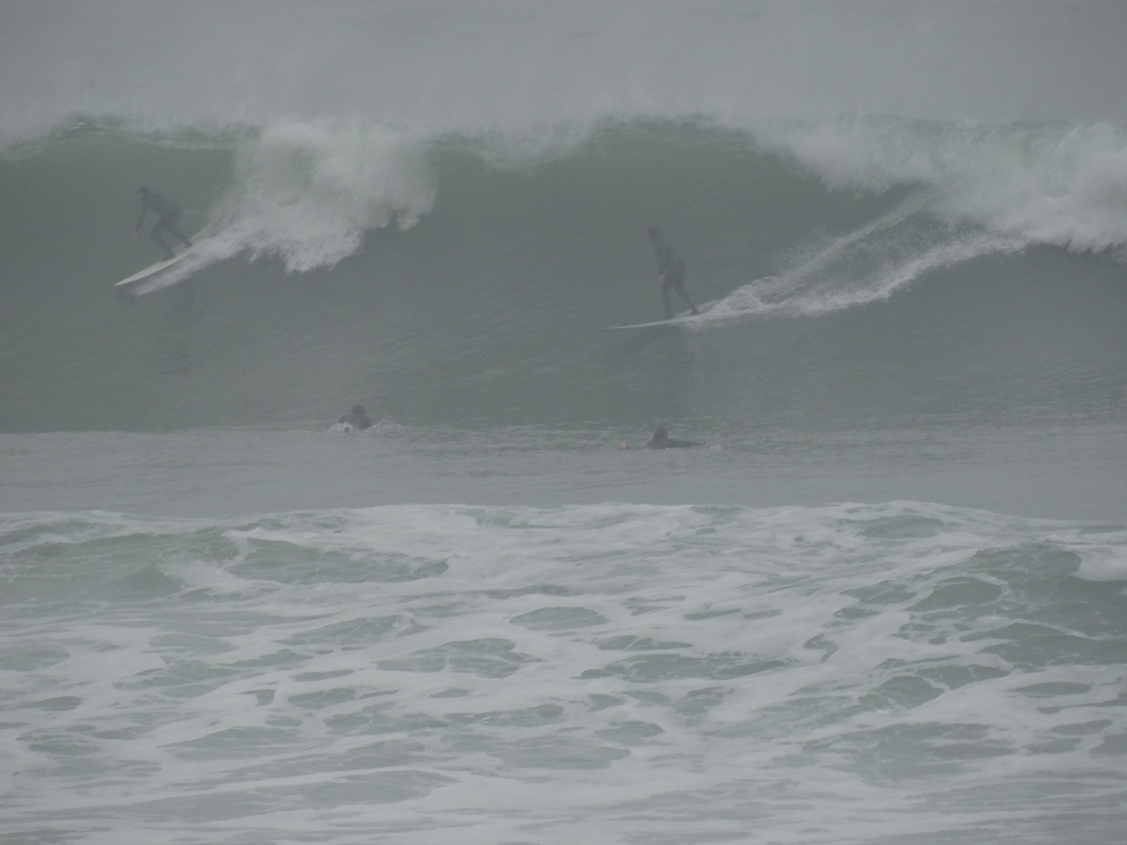 Foggy Malaga Cove, Palos Verde - Bluff Cove
