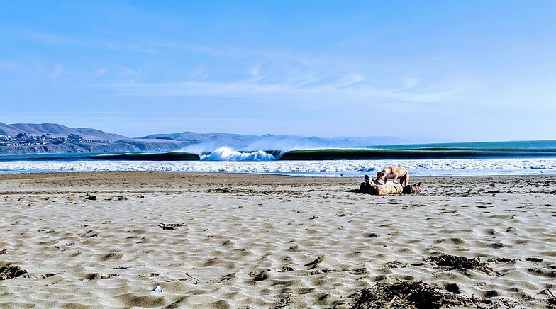 Log Dog, Doran Beach