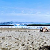 Log Dog, Doran Beach