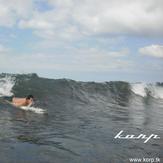swell El Valle Choco Colombia by Korp