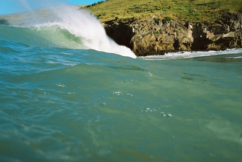 taylors surf shop