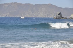 "Dawz"  chasing down a right, Ben Weston (Catalina Island) photo