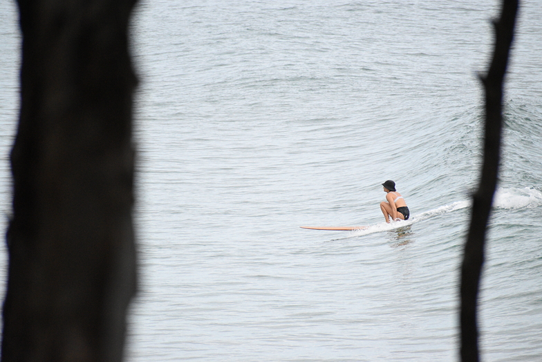 Gliding, Noosa - Tea Tree Bay