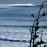 Short-lived early autumn swell at Kumera Patch.