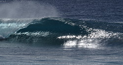 Avana left photo