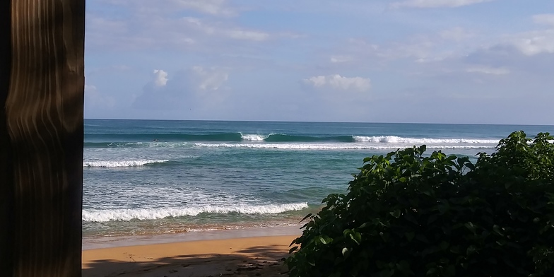 Luquillo - La Selva surf break