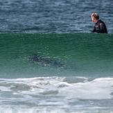 friendly locals at surf bay