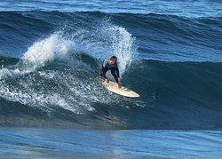 Mario, Salinas photo