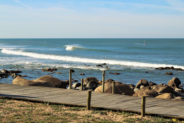 Canidelo Wave