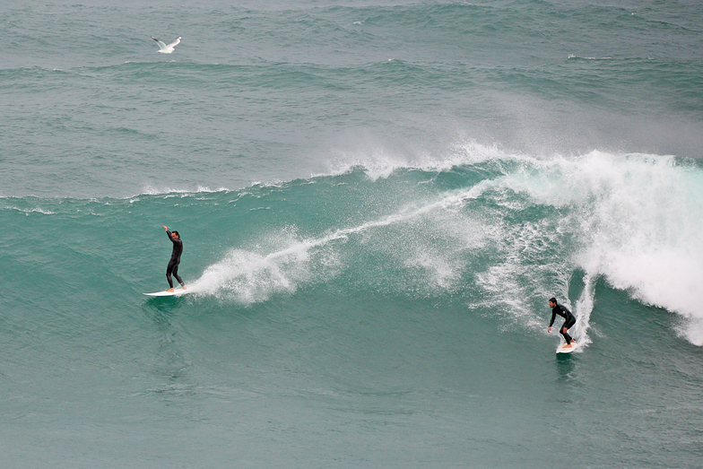 Big Saturday at Bronte, Bronte Beach