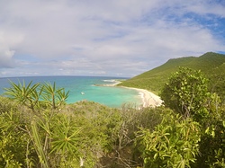 wild beauty, Wilderness photo