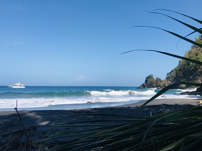 Secluded Snake Grass Cove, Anse Couleuvre