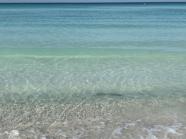 Perfect day for snorkeling!, Bradenton Beach