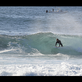 Winter swell, Cowries