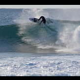 Winter swell, Cowries