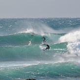 Winter swell, Cowries