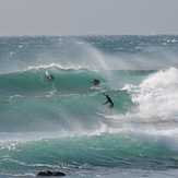 Winter swell, Cowries