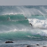 Winter swell, Cowries