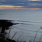 surf trip, Raglan-Whale Bay