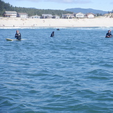 another day at the office, Pacific City/Cape Kiwanda