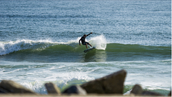 Austin martin, Matanzas Inlet photo