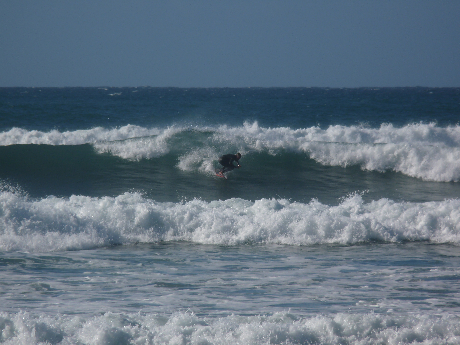 Bob at Fossil Point, Farewell Spit