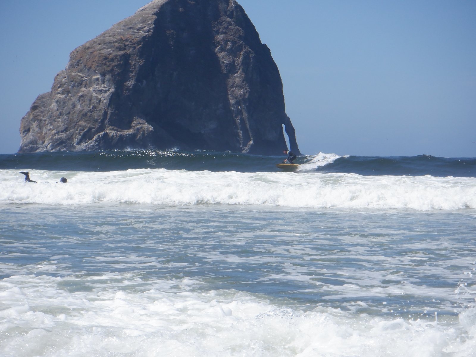 The ocean provides, Pacific City/Cape Kiwanda