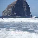 The ocean provides, Pacific City/Cape Kiwanda