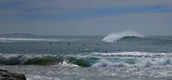 Town Beach, Port Macquarie-Town Beach photo