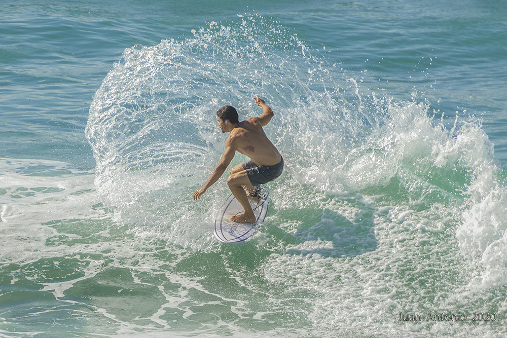 Ostra, Playa de Gros