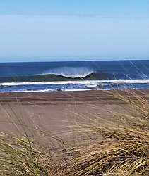 Monte, Monte Hermoso photo