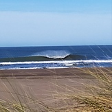 Monte, Monte Hermoso