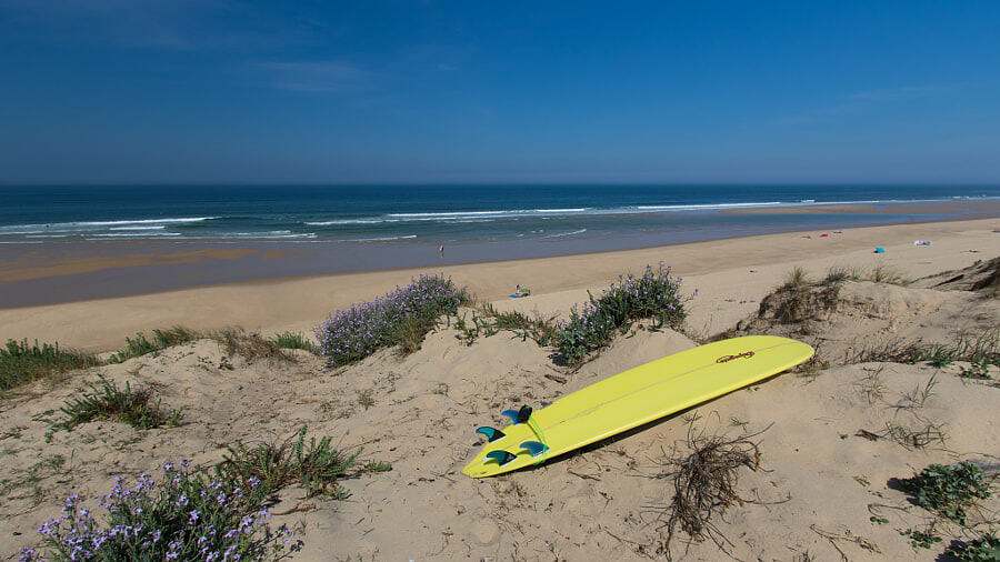 Go surfing, Le Porge