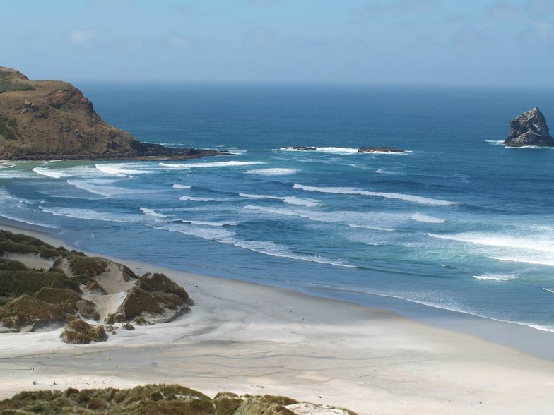 Otago Peninsula - Sandfly Bay surf break