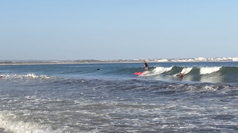 Surfing waves for beginners, Meia Praia