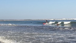 Surfing waves for beginners, Meia Praia photo