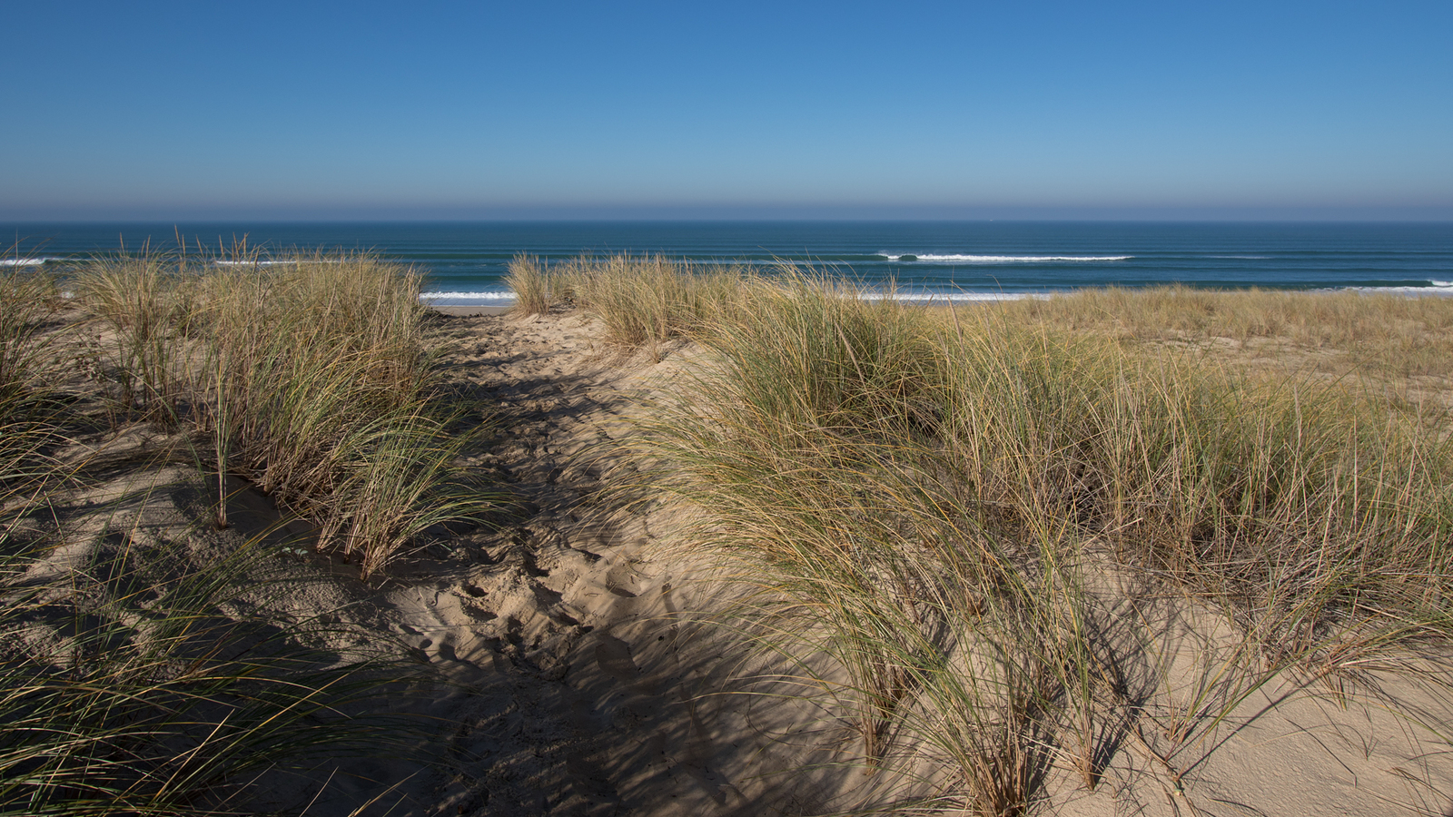 Surfer dream, Le Porge