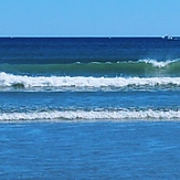 Having fun, Nahant Beach