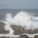 Shipstern Bluff