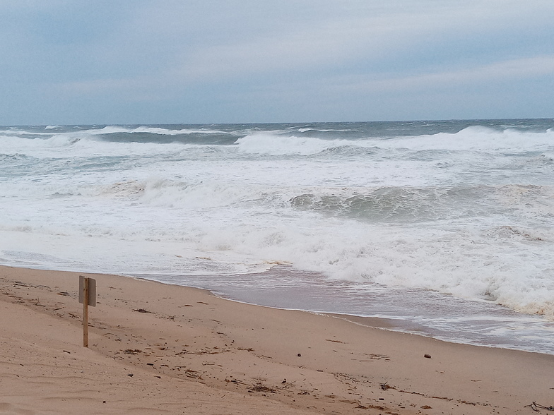 Newcombs Hollow surf break