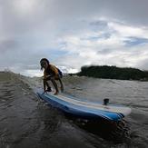 The Bay is a safe shore break for everyone, Talofofo/The Bay