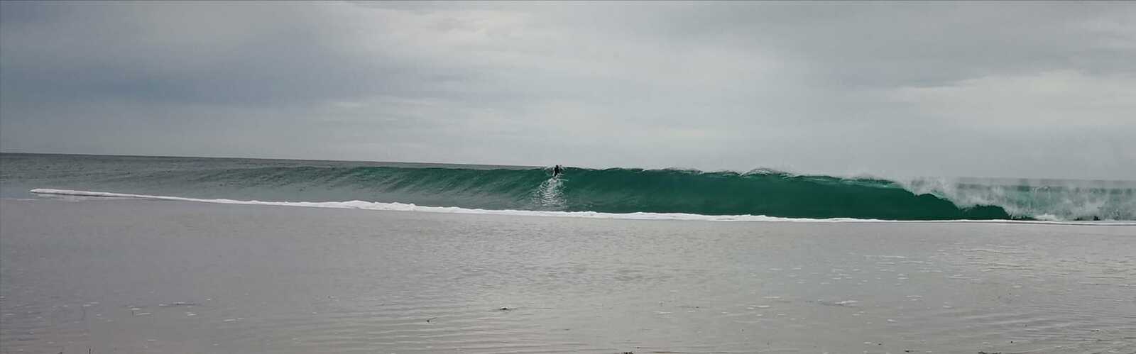 cyclone swell., Singleton