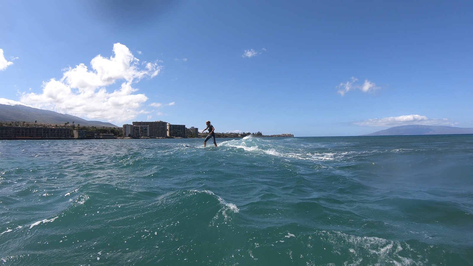 Shrooms, Mushrooms 2