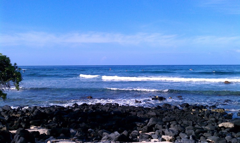 Pine Trees surf break