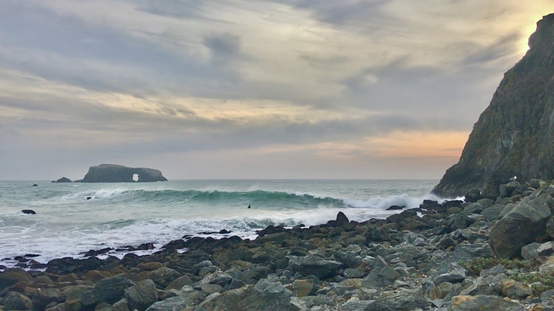 Goat Rock, Sonoma Coast