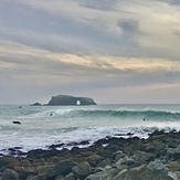 Goat Rock, Sonoma Coast