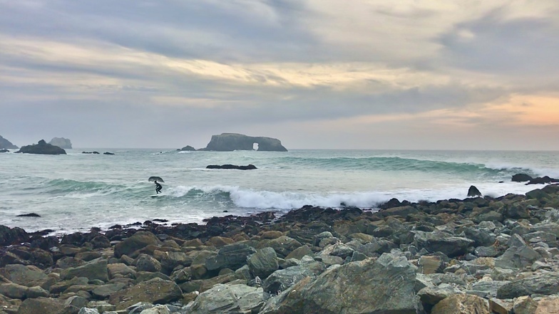 Goat Rock, Sonoma Coast 