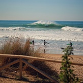 Playa el palmar