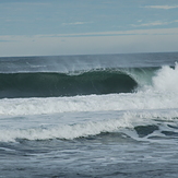 Plum island